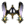 Faixa Chou (Básica).png