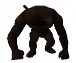Macaco General Forte