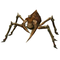 Aranha General.png