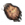 Pata de Urso.png