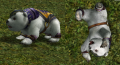 Knuud3.png