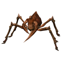 Aranha Besta Coronel.png
