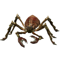 Aranha Rubi Mortal.png
